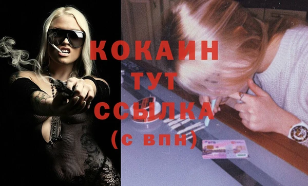 меф Арсеньев