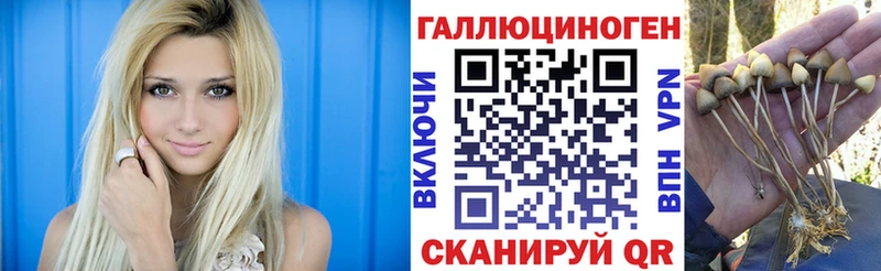 Псилоцибиновые грибы мицелий  Купить  Нестеровская 